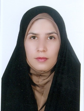 Professional Service